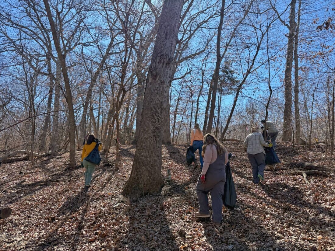 Baldwin Woods preserves a rare native forest in Douglas County