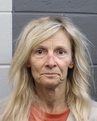 Forsyth County woman arrested after alleged theft from pet-sitting home