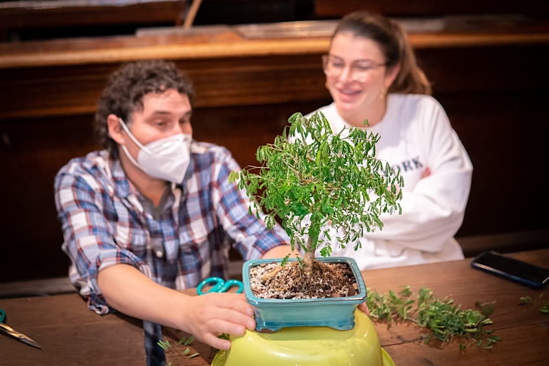 New York City bonsai workshop teaches design, planting and care