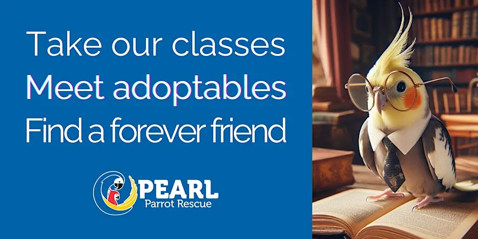 PEARL Parrot Rescue offers adoption and care class July 12, 2026