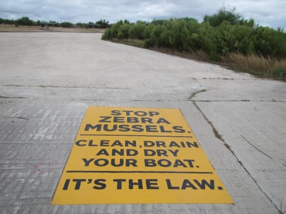 Lake Amistad visitors urged to stop zebra mussel spread