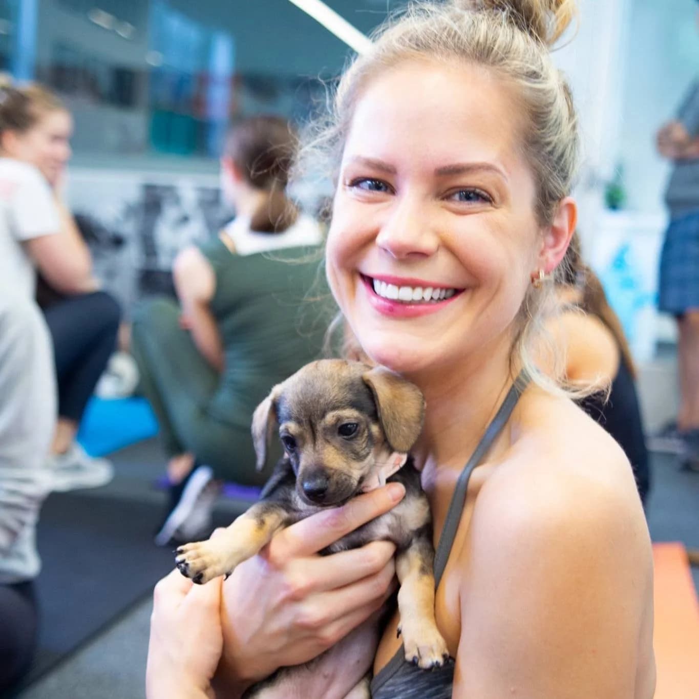Wags & Walks hosts dog-friendly yoga fundraiser at West LA center