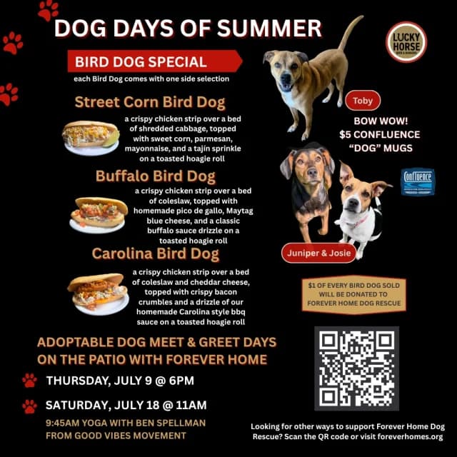 Des Moines dog adoption meet-and-greet adds yoga at Lucky Horse