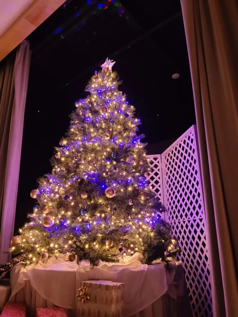 Midcoast chamber seeks public help naming new tree festival
