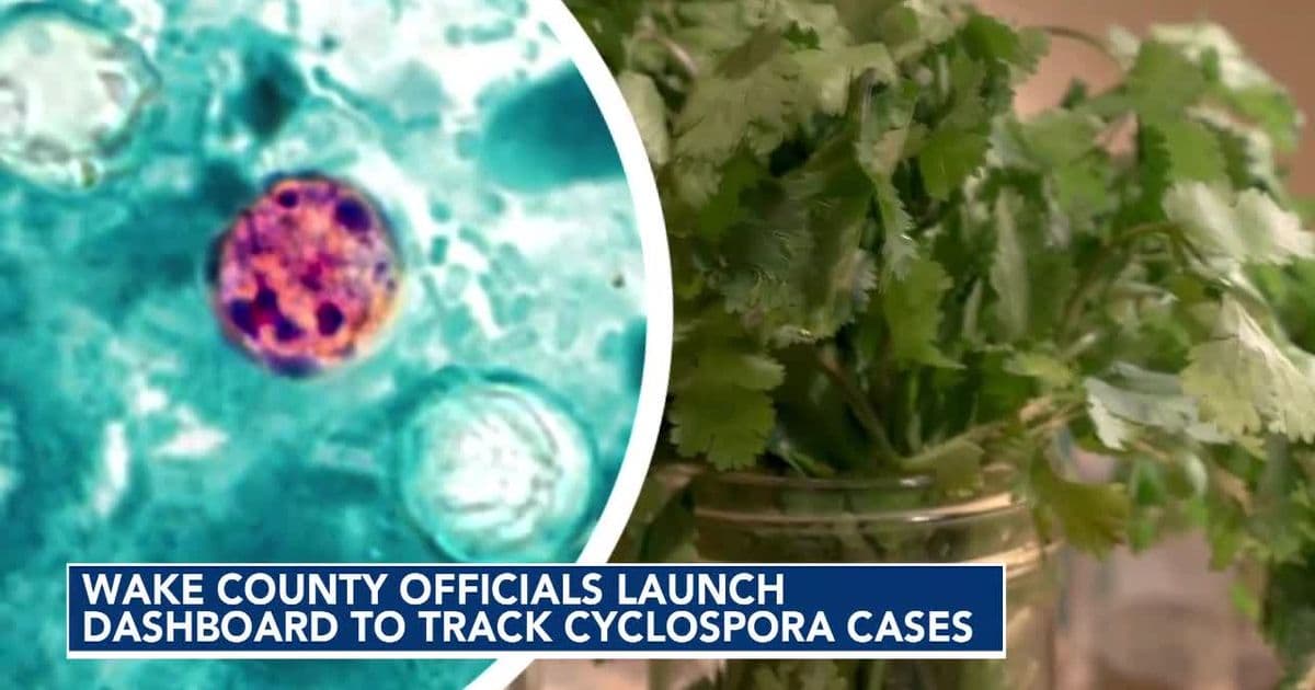 Wake County cyclosporiasis cases rise to 270 amid North Carolina surge