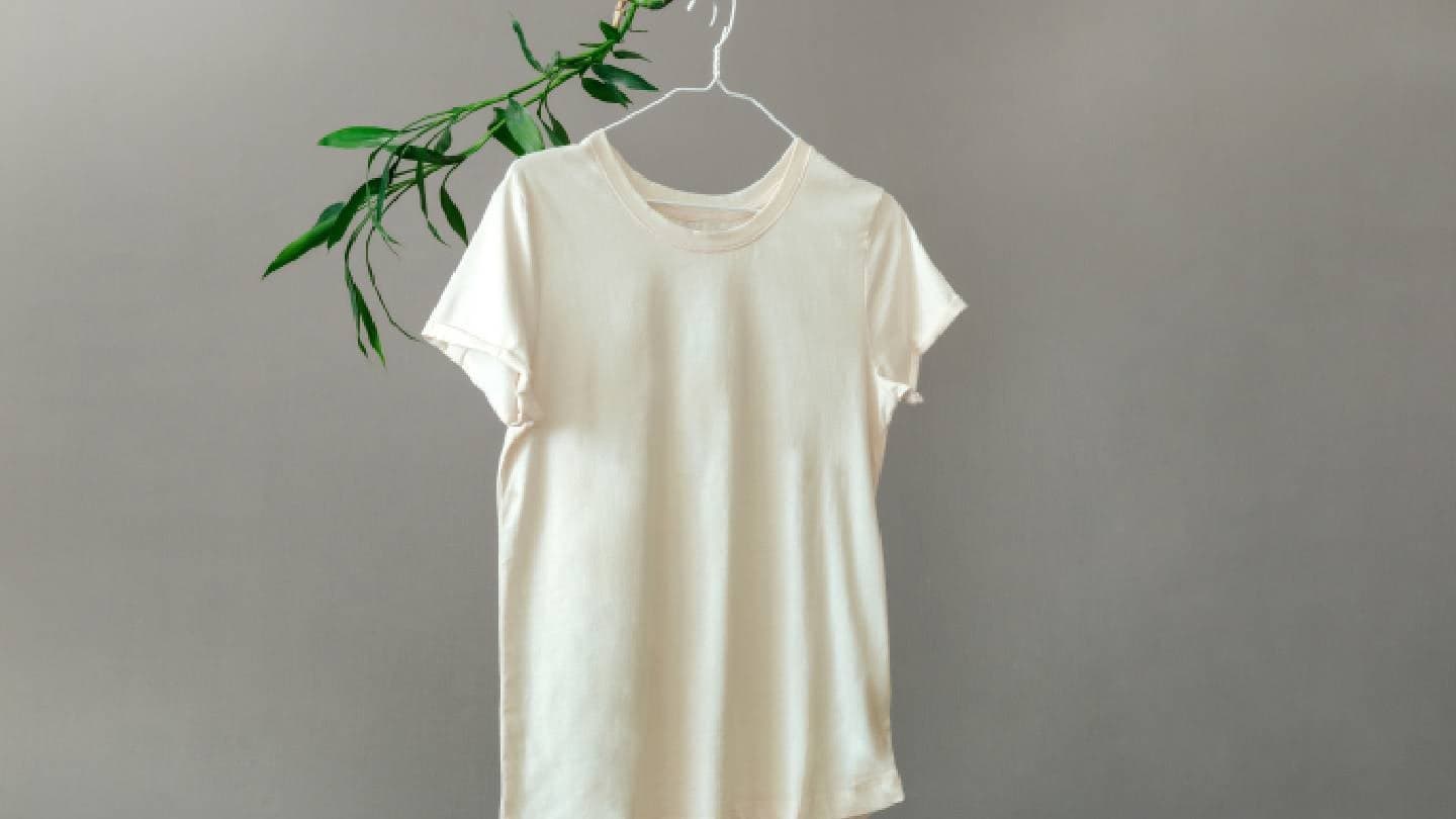 EU rules force bamboo fashion brands to prove green claims