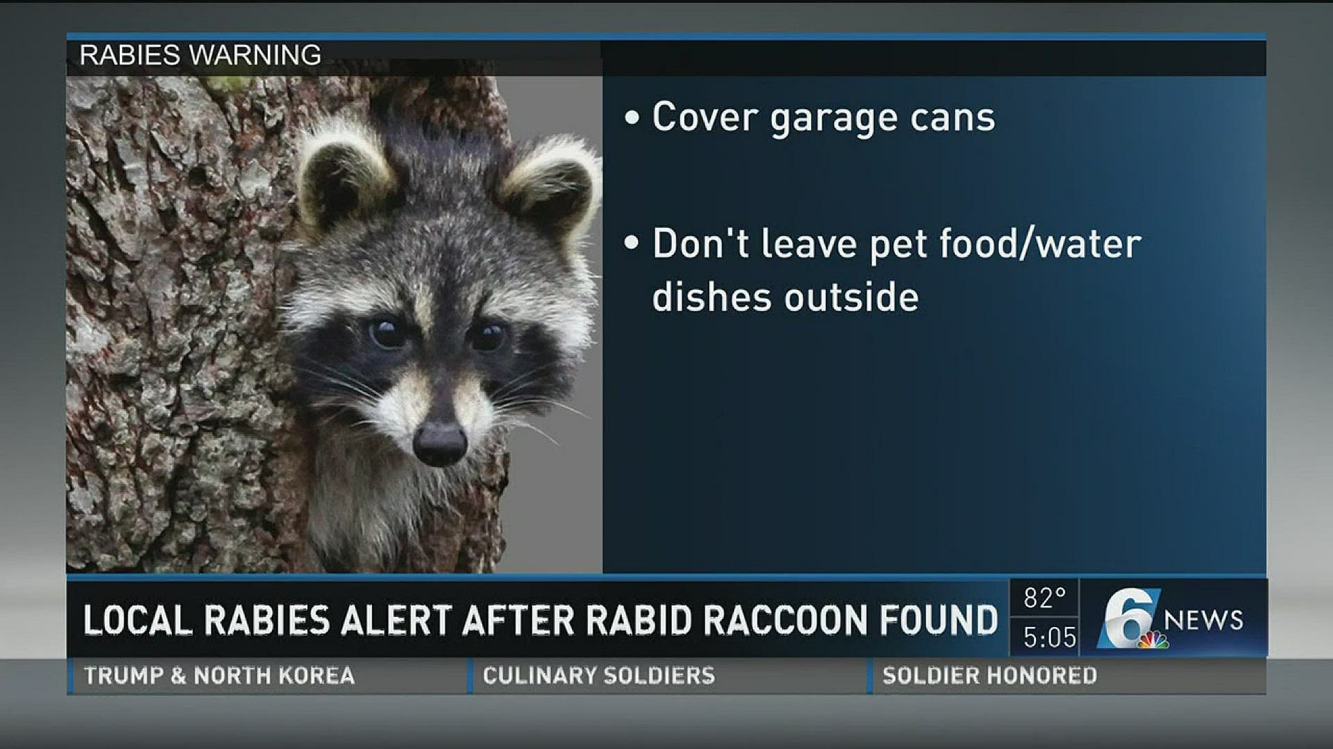 Rabid raccoon found in Copperas Cove, officials warn residents