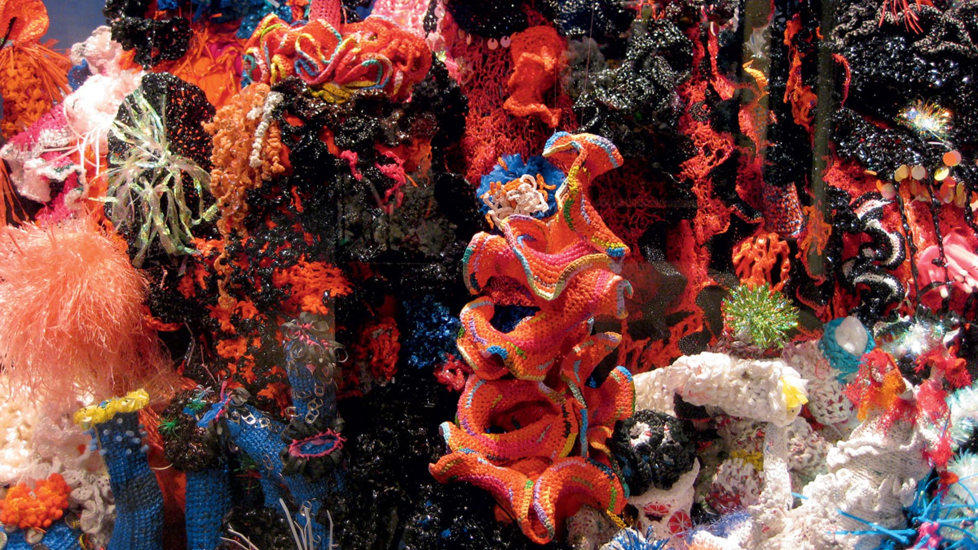 Crochet coral reef turns math, art and activism into one project
