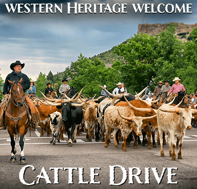 Castle Rock brings back annual Longhorn cattle drive July 24