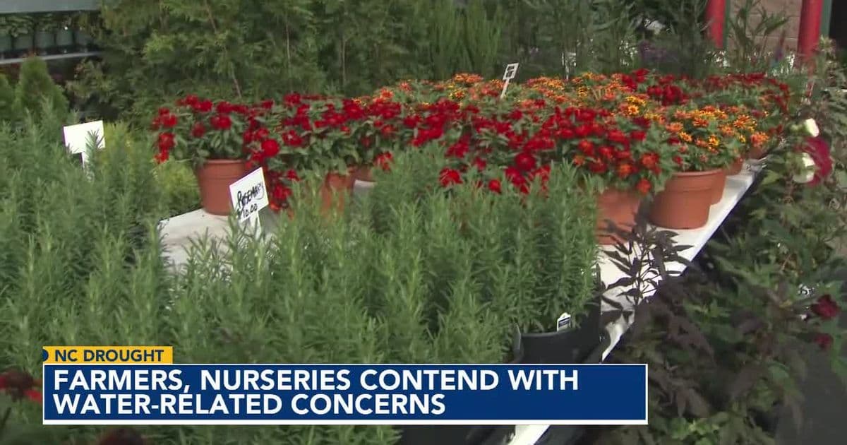 Wake County heat and drought hurt farmers market sales