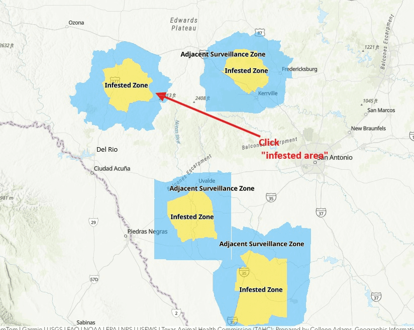Val Verde County announces animal movement restrictions over screwworm threat