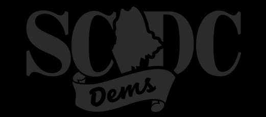 Maine Democrats release Sagadahoc County delegate results for Senate race
