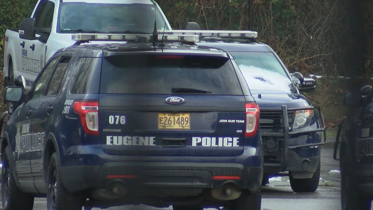 Wrong-way Beltline chase ends with Springfield arrest
