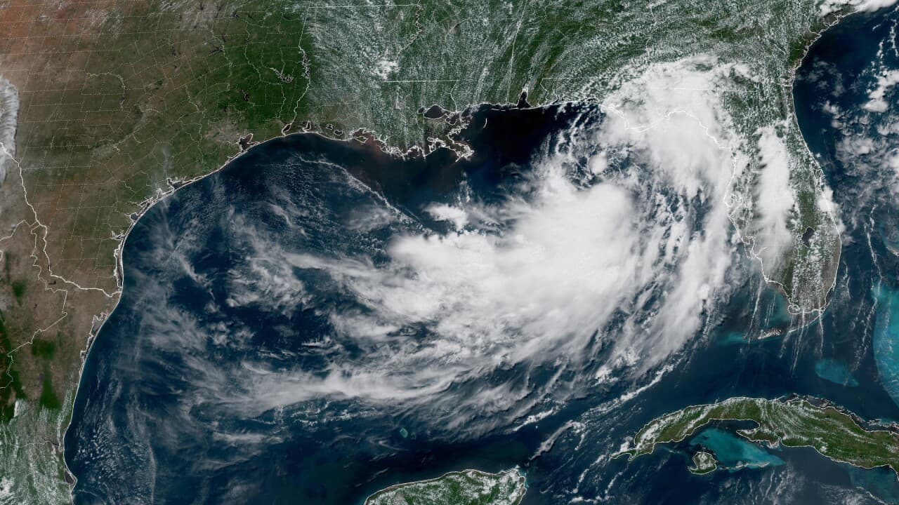Tropical Storm Bertha brings heavy rain to Florida's west coast