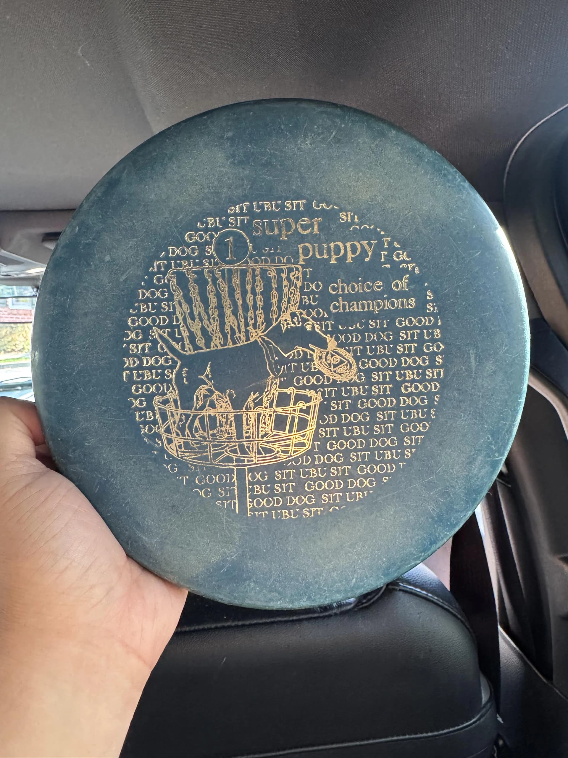 Discontinued disc golf brands shaped the sport’s cult-classic molds