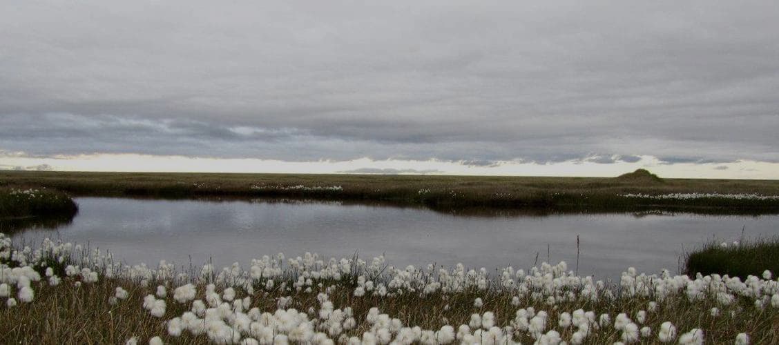 Atqasuk report outlines climate health strategies for Arctic village