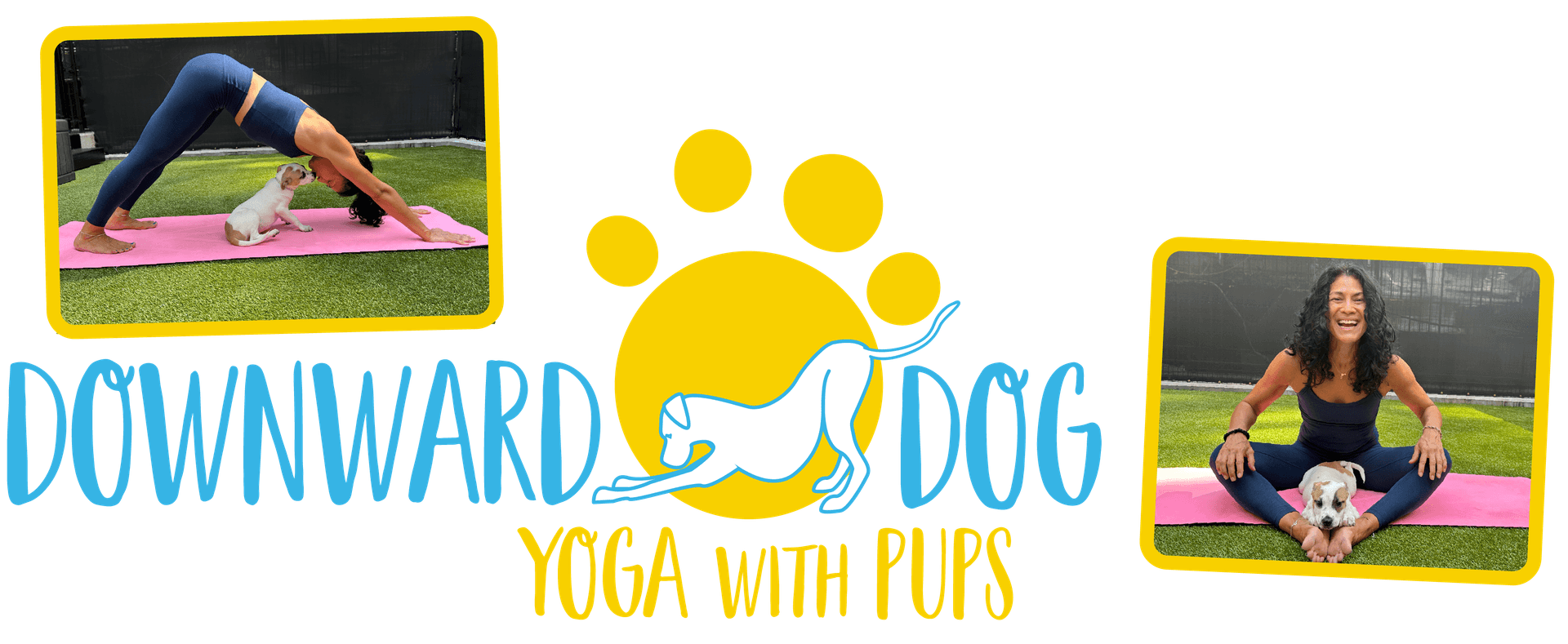 Yoga with pups at Bideawee brings rescue dogs to Manhattan class