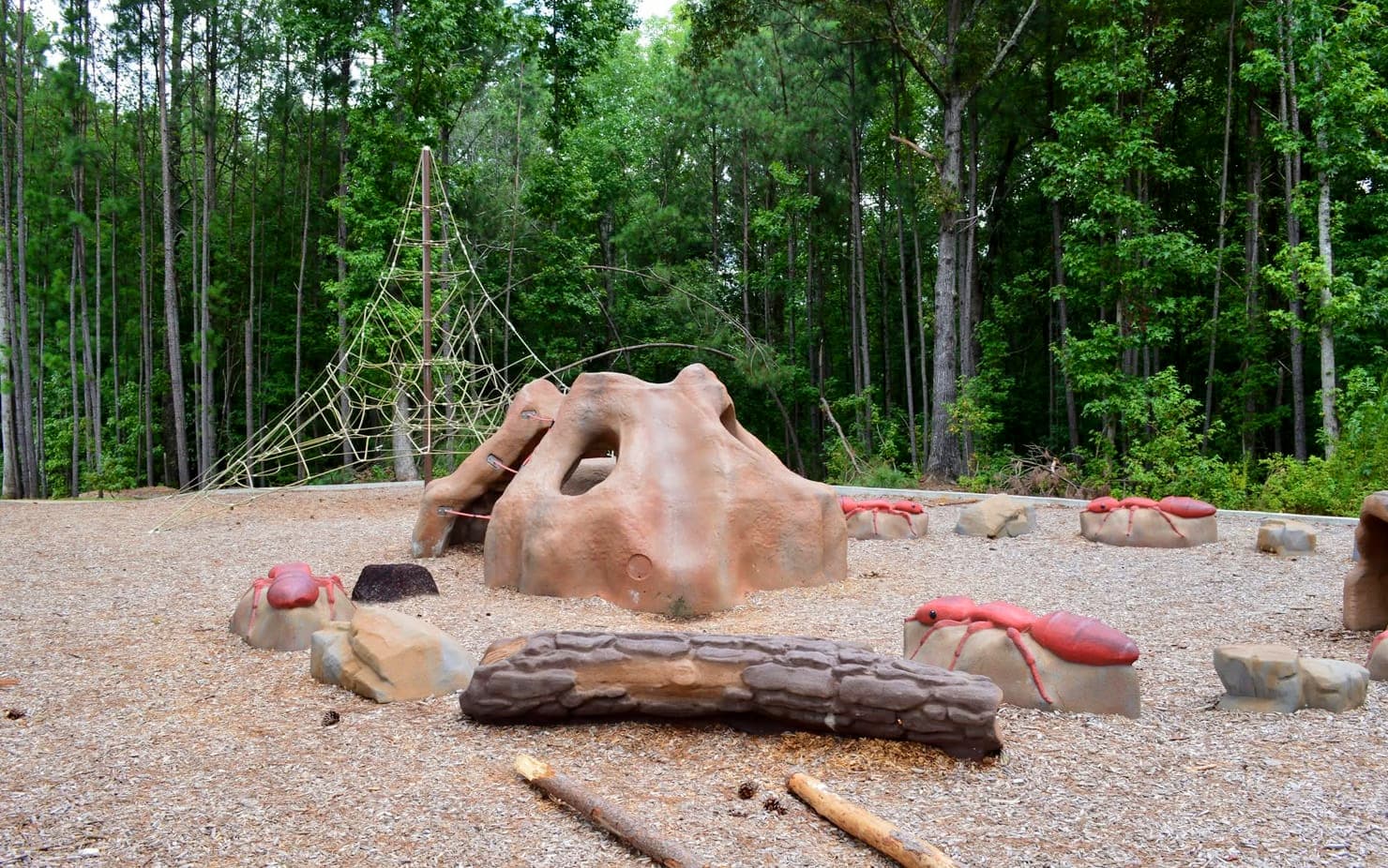 Caney Creek Preserve offers trails, dog park and nature playground