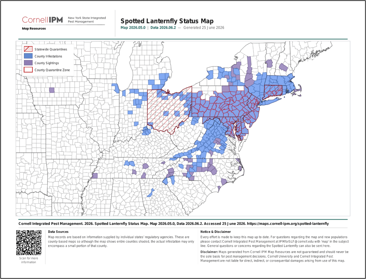 North Carolina officials warn Guilford County to squash spotted lanternflies