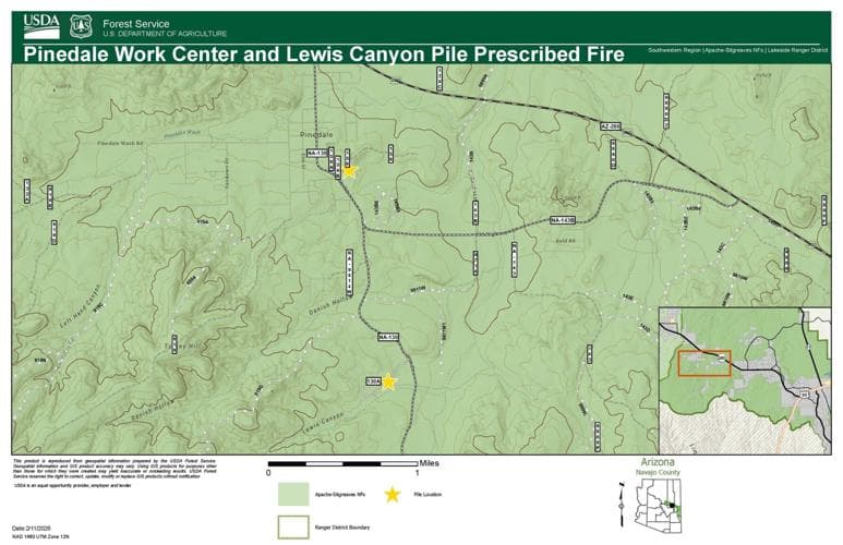 Planned pile burns near Springerville, Pinedale target wildfire fuels