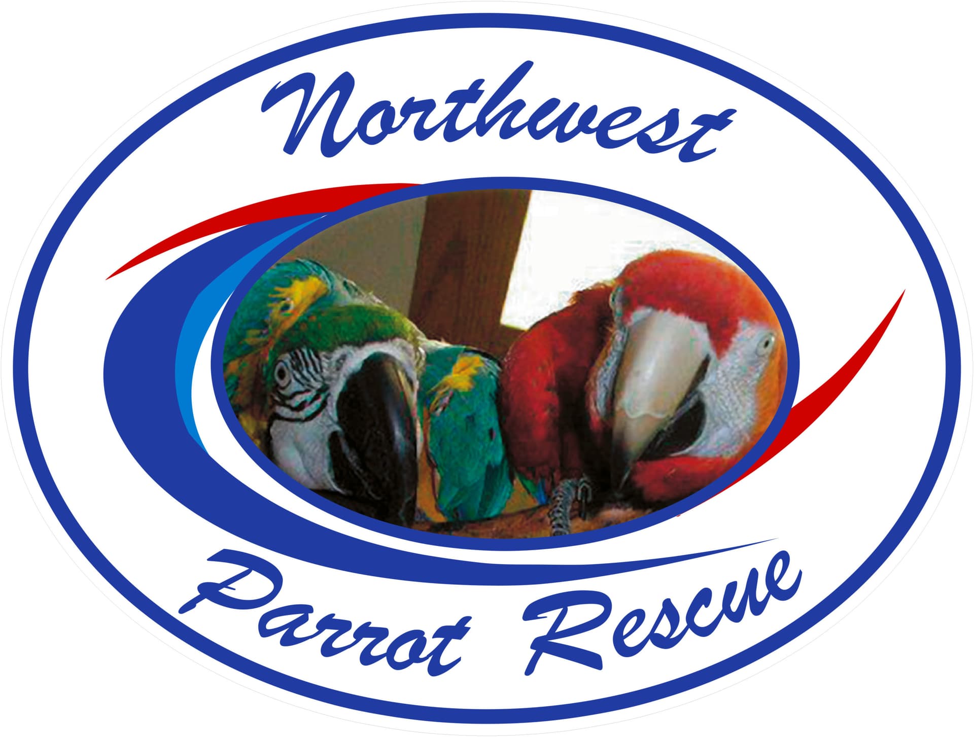 NW Parrot Rescue guide explains the 3-3-3 rule for new birds