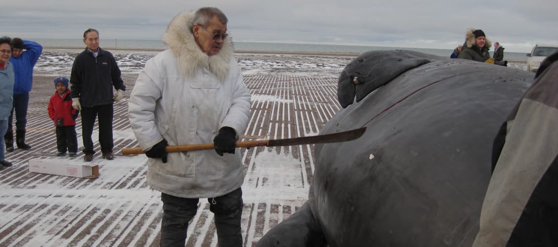 Visitors see life at the edge of the Arctic in Utqiagvik