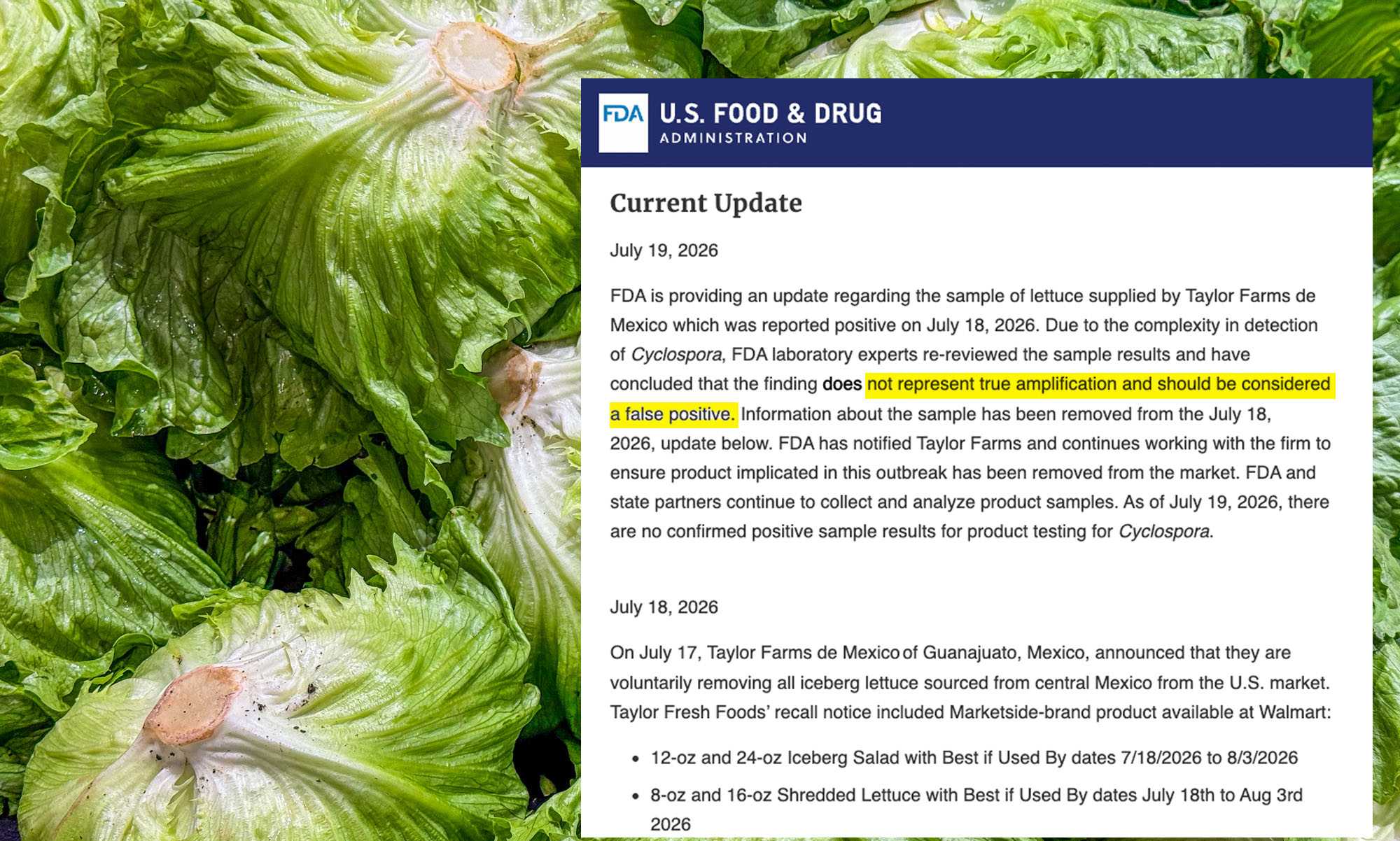 Cyclospora outbreak linked to iceberg lettuce sickens hundreds across U.S.