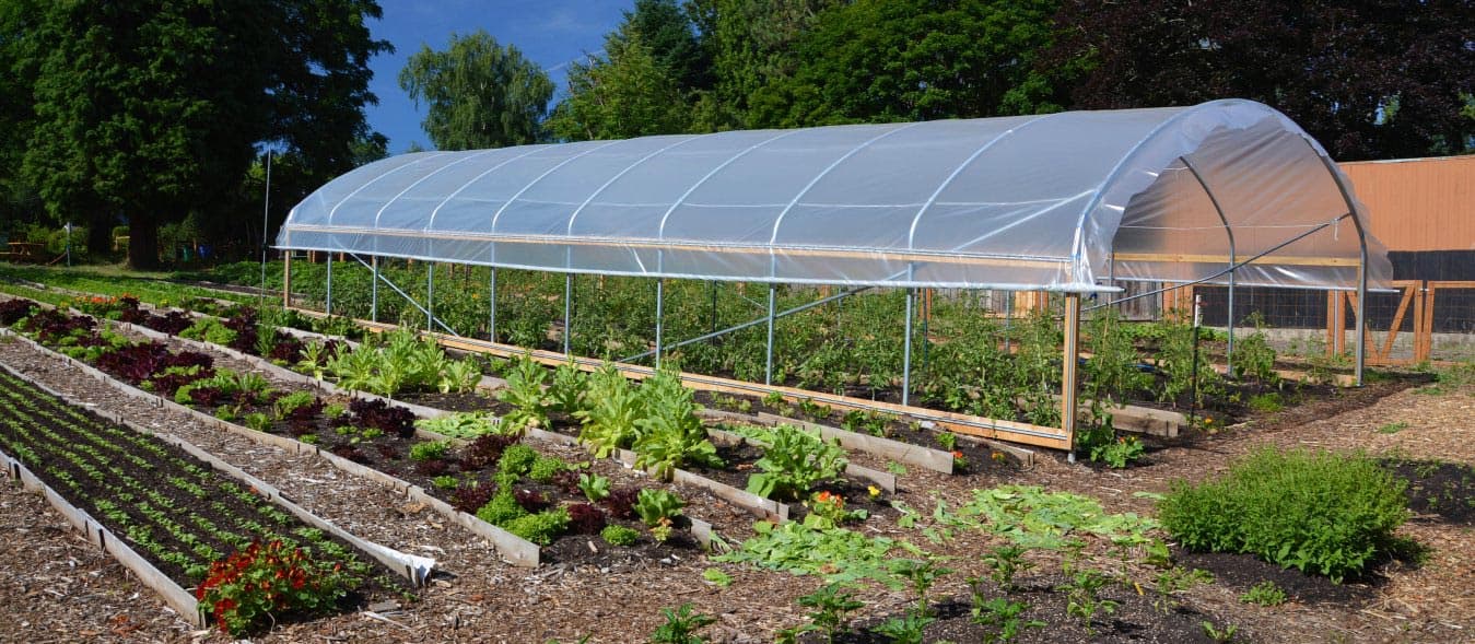 Allendale district extends high tunnel help for local farmers