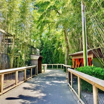Bridgeton City Park anchors recreation, events and wildlife in Cumberland County