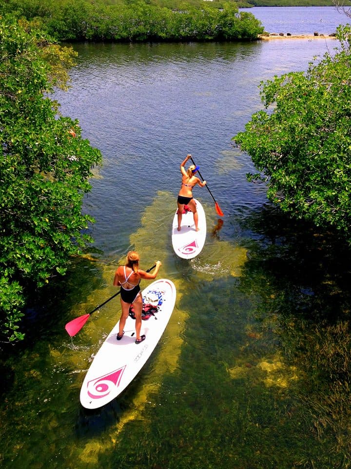 Pennekamp Paddle Day set for Sept. 12 in Key Largo
