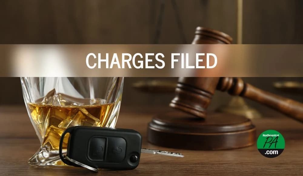 White Deer Township man charged with three DUI counts, careless driving