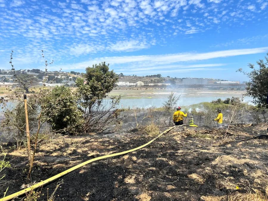 Vegetation fire near Hunters Point Naval Shipyard sends smoke over San Francisco