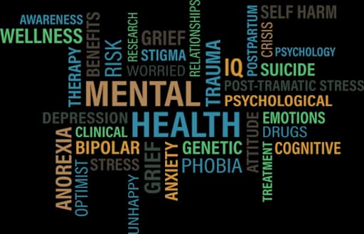 Guilford County Schools faces $9 million loss in mental health grants