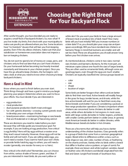 Mississippi State breed chart helps backyard keepers choose the right chickens