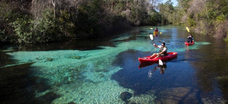 Weeki Wachee River study gauges how much use it can handle