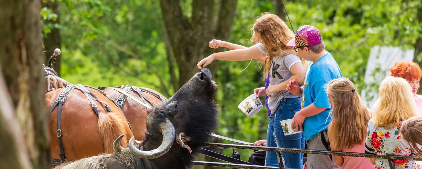 Farm at Walnut Creek draws families with 500 animals and field trips
