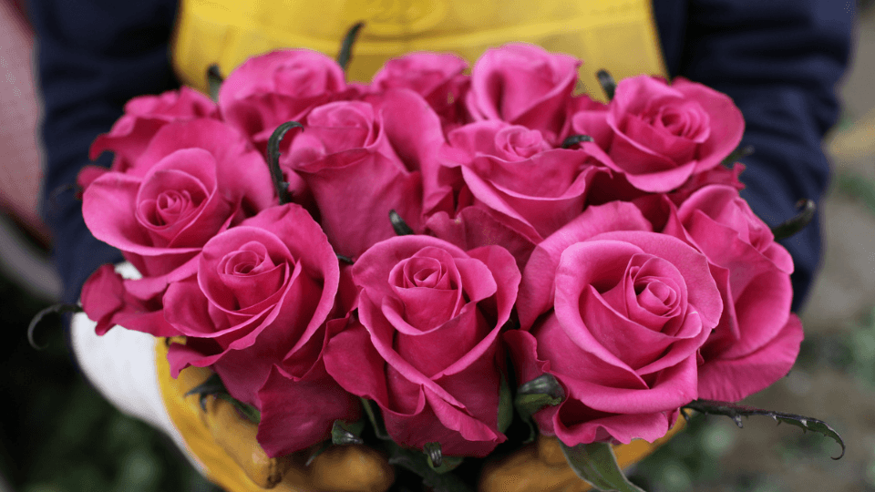 Fair Trade flowers make Mother's Day bouquets more meaningful