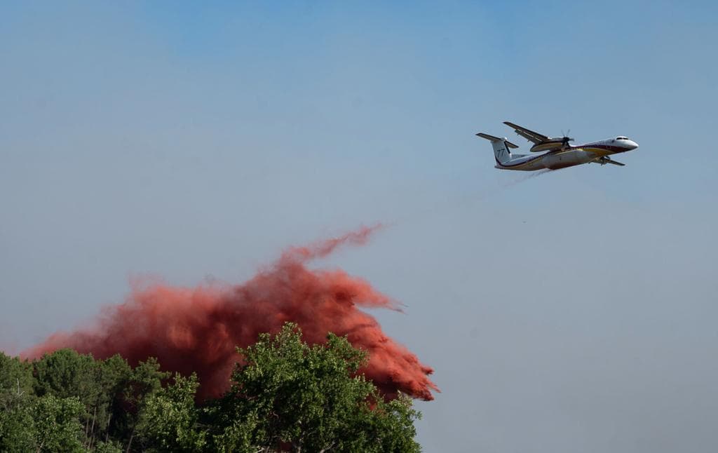Wildfires near Bordeaux force mass evacuations as heat intensifies