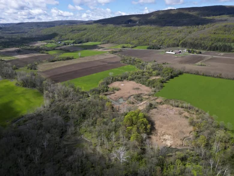 Related photo