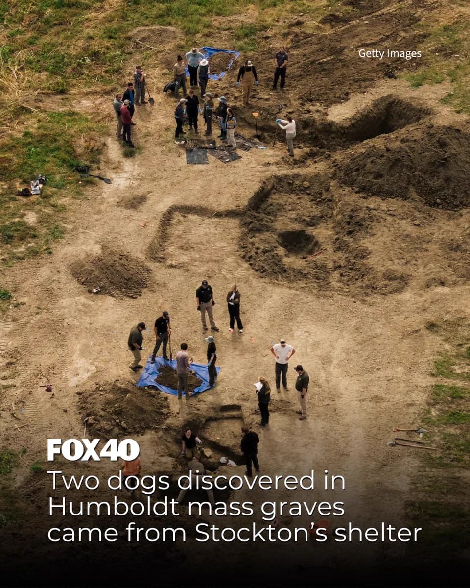 Humboldt County investigators recover dogs from mass graves at sanctuary