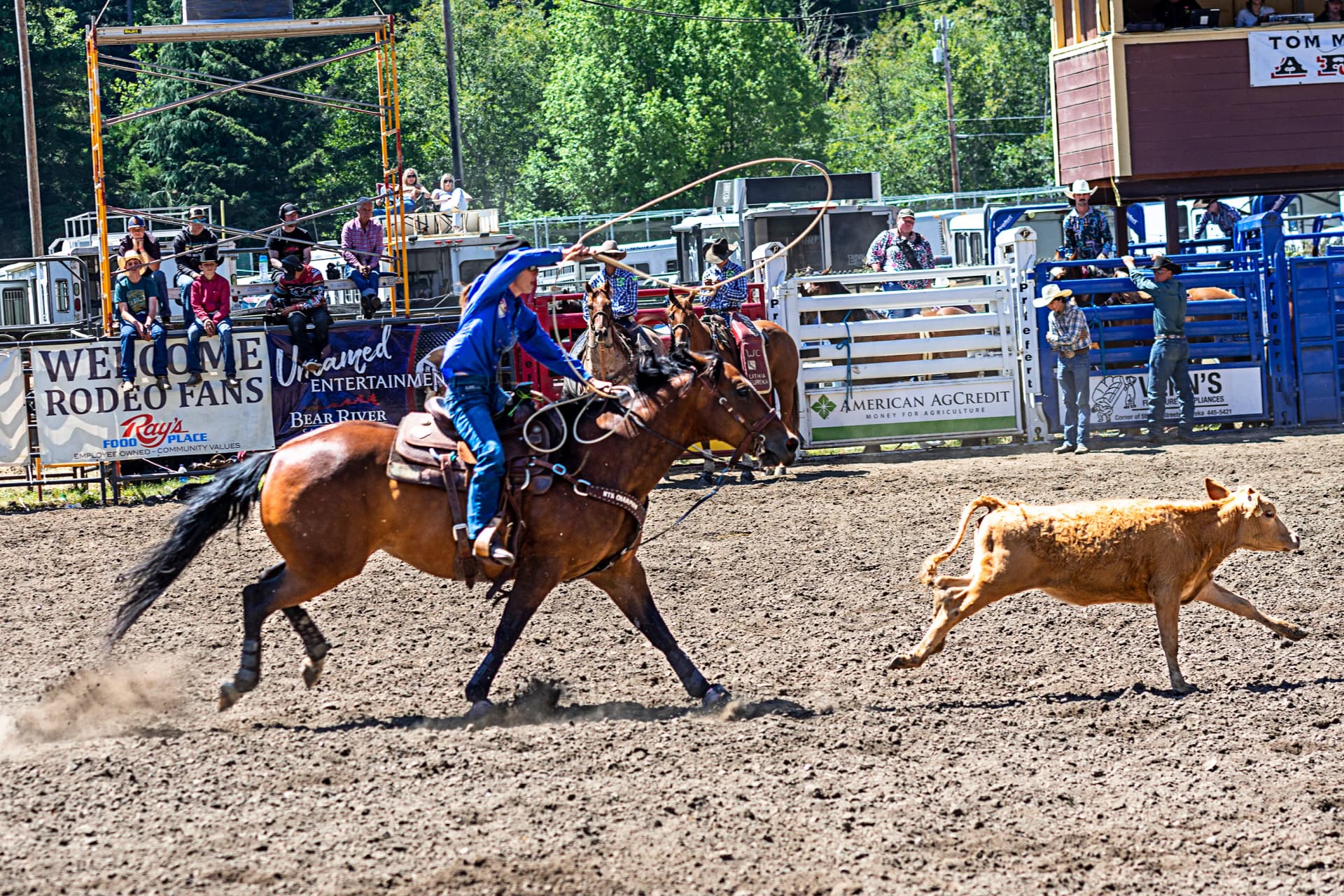 Rumor spreads after threat to stab horse at Fortuna Rodeo