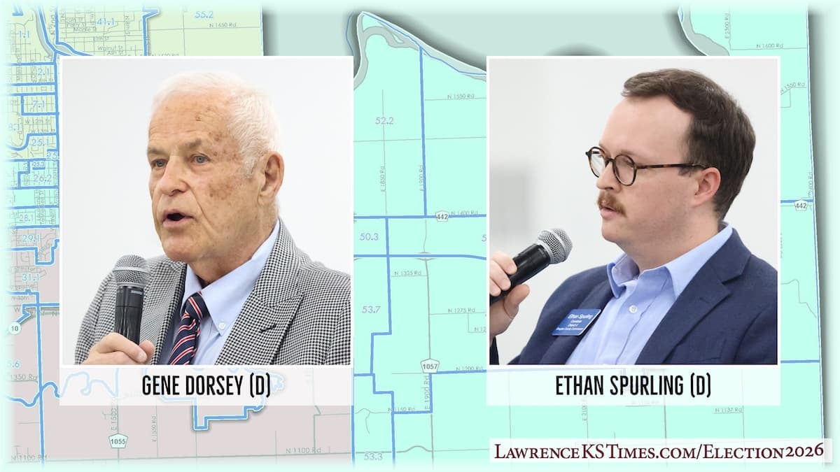 Two Democrats seek District 4 seat in Douglas County primary