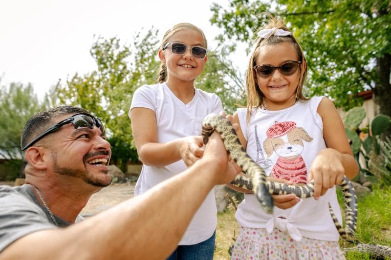 Lordsburg offers history, food and a snake museum off Interstate 10