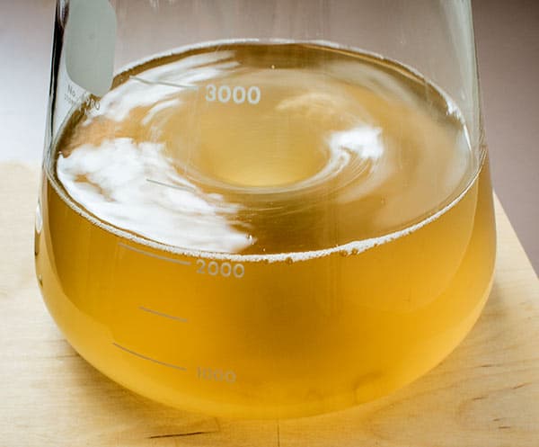 Why homebrewers make yeast starters before brew day