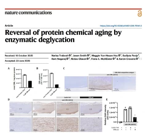 Bryan Johnson backs enzymes that reverse sugar scars on proteins