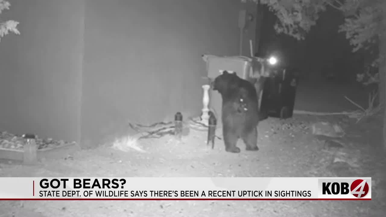 Bear keeps entering Tijeras home, prompting neighborhood wildlife concerns