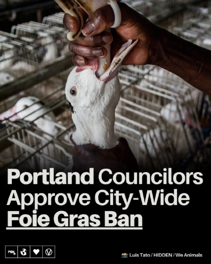 Portland bans foie gras, restaurants face fines up to $5,000