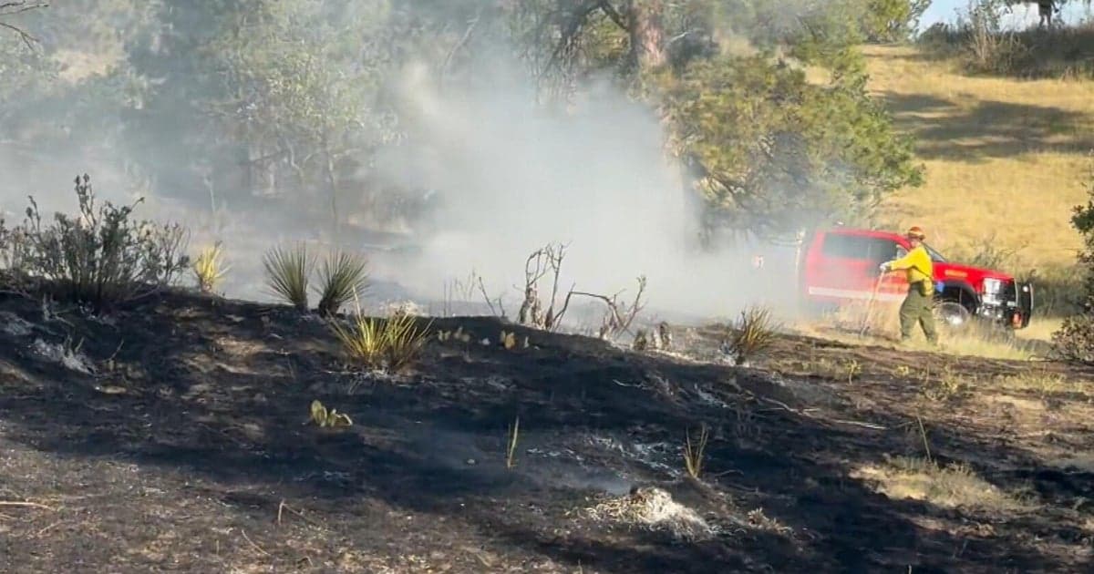 Douglas County brush fire contained after squirrel hits power line