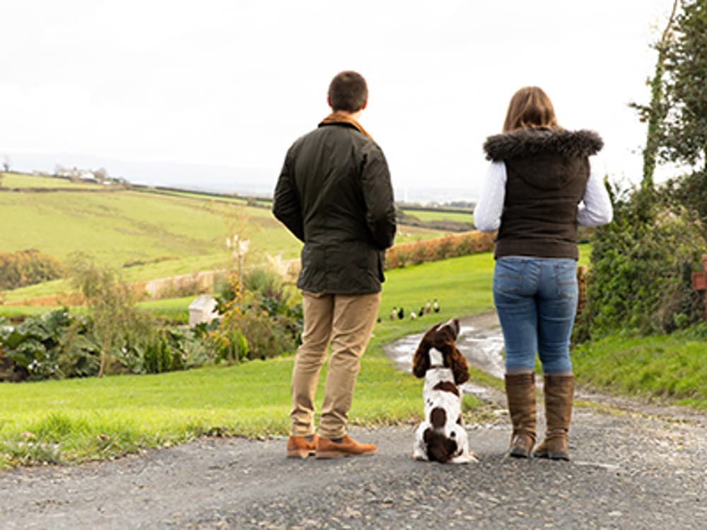 Kennel Club guide helps hyperactive dogs learn calmer walks