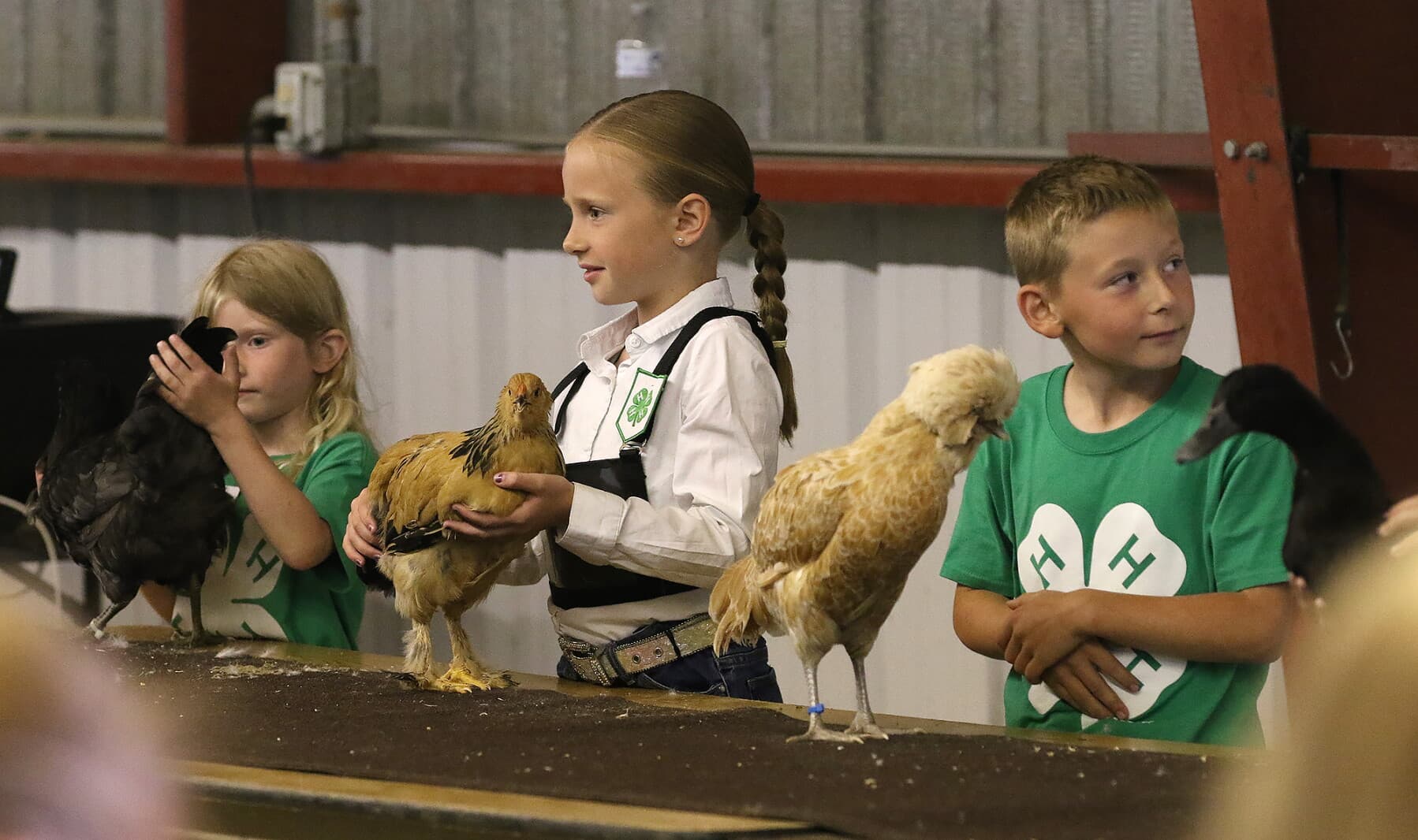Stutsman County Fair 4-H awards honor local youth projects